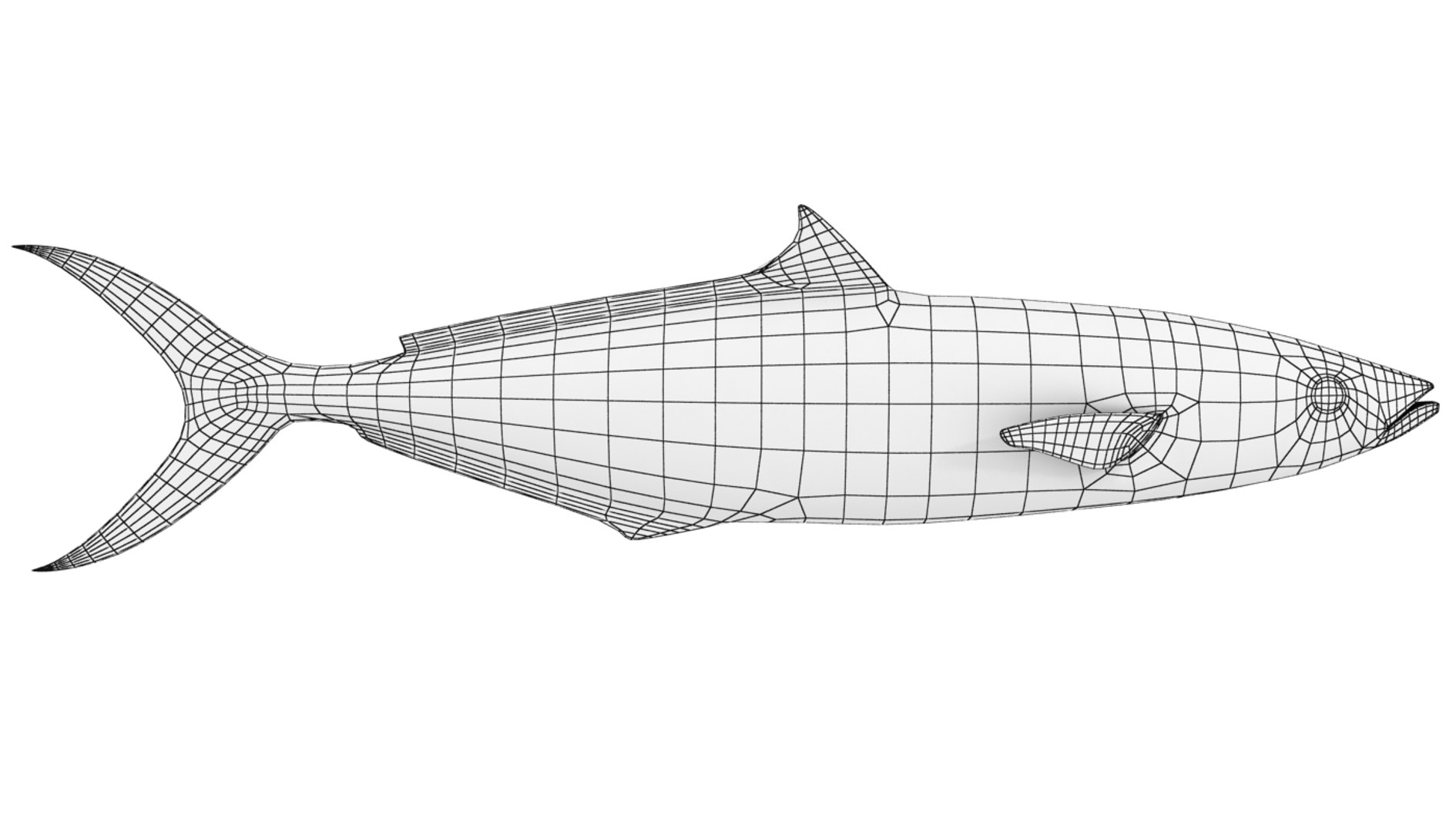 3d fishing amberjack barracuda https://p.turbosquid.com/ts-thumb/yO/RtHaiD/mdog6T45/rr_r3w/jpg/1385170775/1920x1080/fit_q87/423d87c7d36ef6792804977c3194e9692990cb8f/rr_r3w.jpg