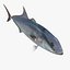 3d fishing amberjack barracuda
