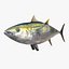 3d fishing amberjack barracuda