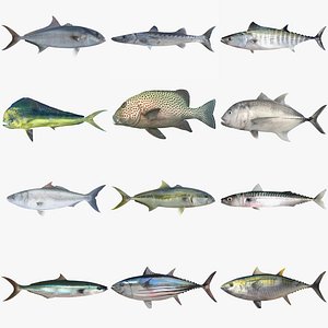 Game Fish
