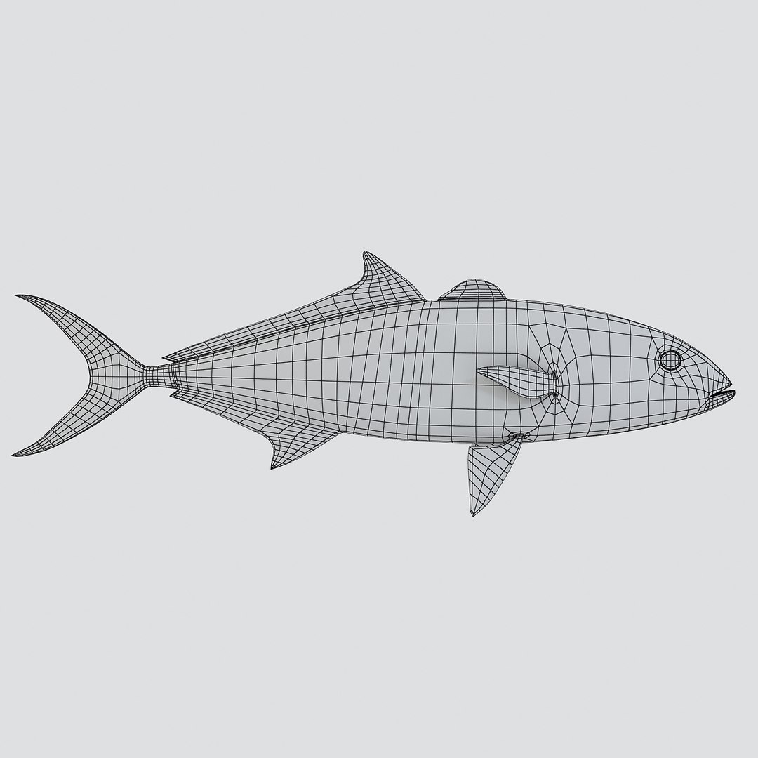 3d fishing amberjack barracuda https://p.turbosquid.com/ts-thumb/yO/RtHaiD/vp50aNrU/kingfishr1w/jpg/1385170775/1920x1080/fit_q87/e43e85e77bc7b5963214fdfd0d65d89c60a4bf15/kingfishr1w.jpg