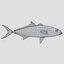 3d fishing amberjack barracuda