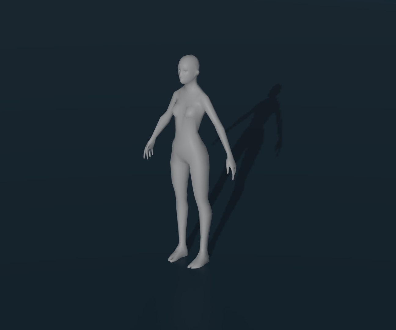 3D Female Body Base Mesh Animated and Rigged 3D Model 1k Polygons https://p.turbosquid.com/ts-thumb/yO/jE9Skt/FQ/14/jpg/1652094100/1920x1080/fit_q87/0168d0294e0c57e8094b8ff660d91885568a56ab/14.jpg