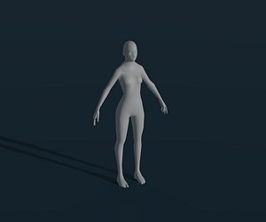 3D Female Body Base Mesh Animated and Rigged 3D Model 1k Polygons