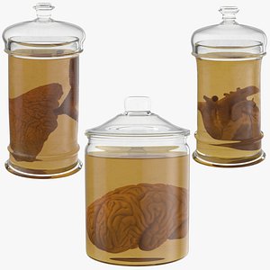 3d vintage organ jars model
