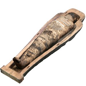 3D Egypt Mummy model