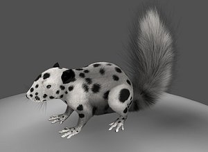 3d squirrels model