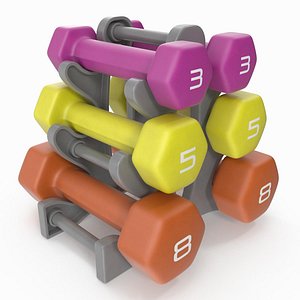Fitness Dumbbell Set with Rack