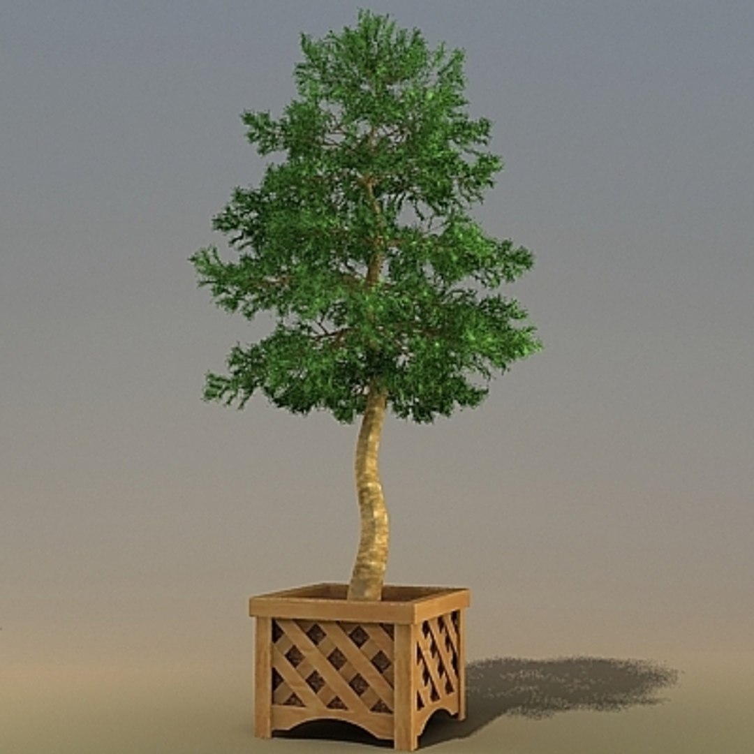 3ds Trees Pinus