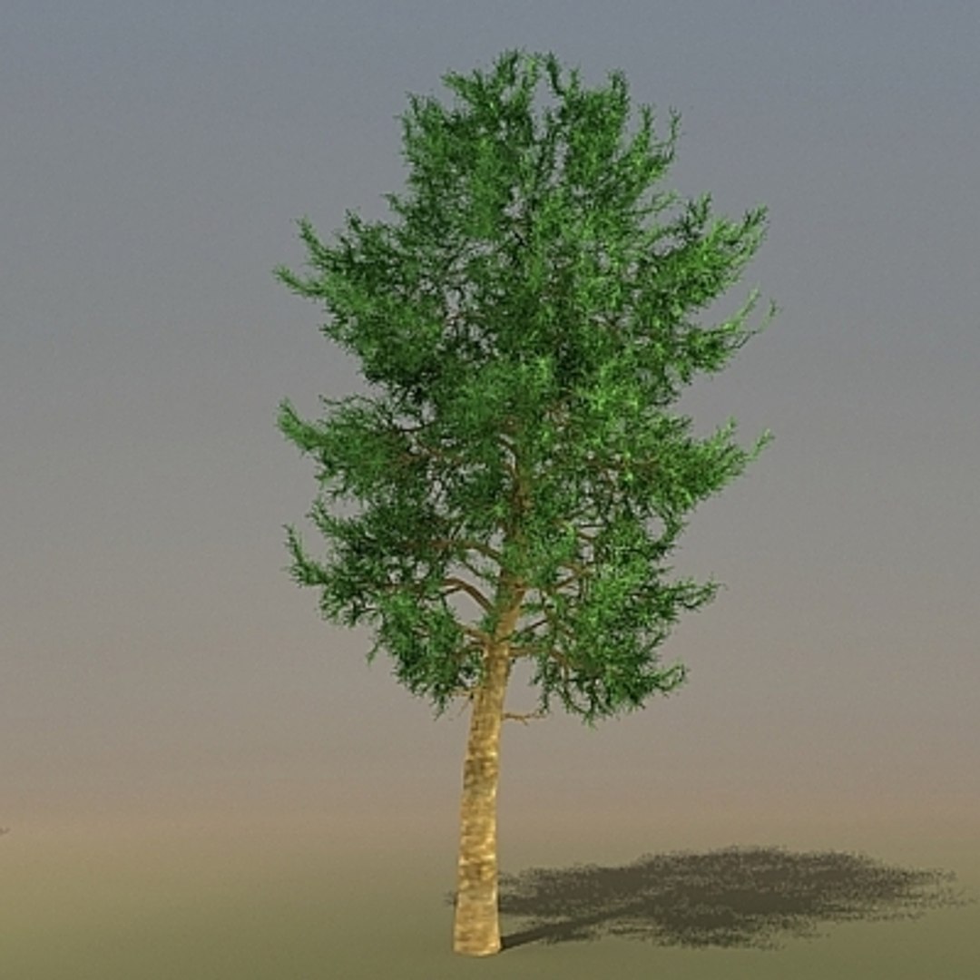 3ds Trees Pinus