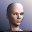beautiful female head skin 3d model