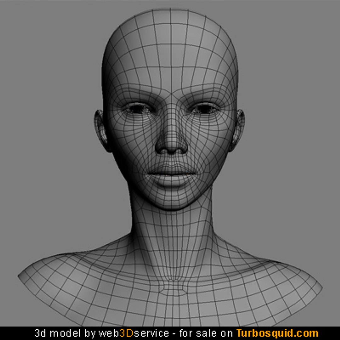 Beautiful Female Head Skin 3d Model