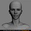 beautiful female head skin 3d model