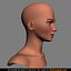 beautiful female head skin 3d model