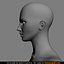 beautiful female head skin 3d model