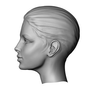 3D file Woman Head and Hair Base 5-Type Package 👩・3D printable