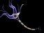 brain cell