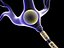 brain cell