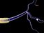 brain cell