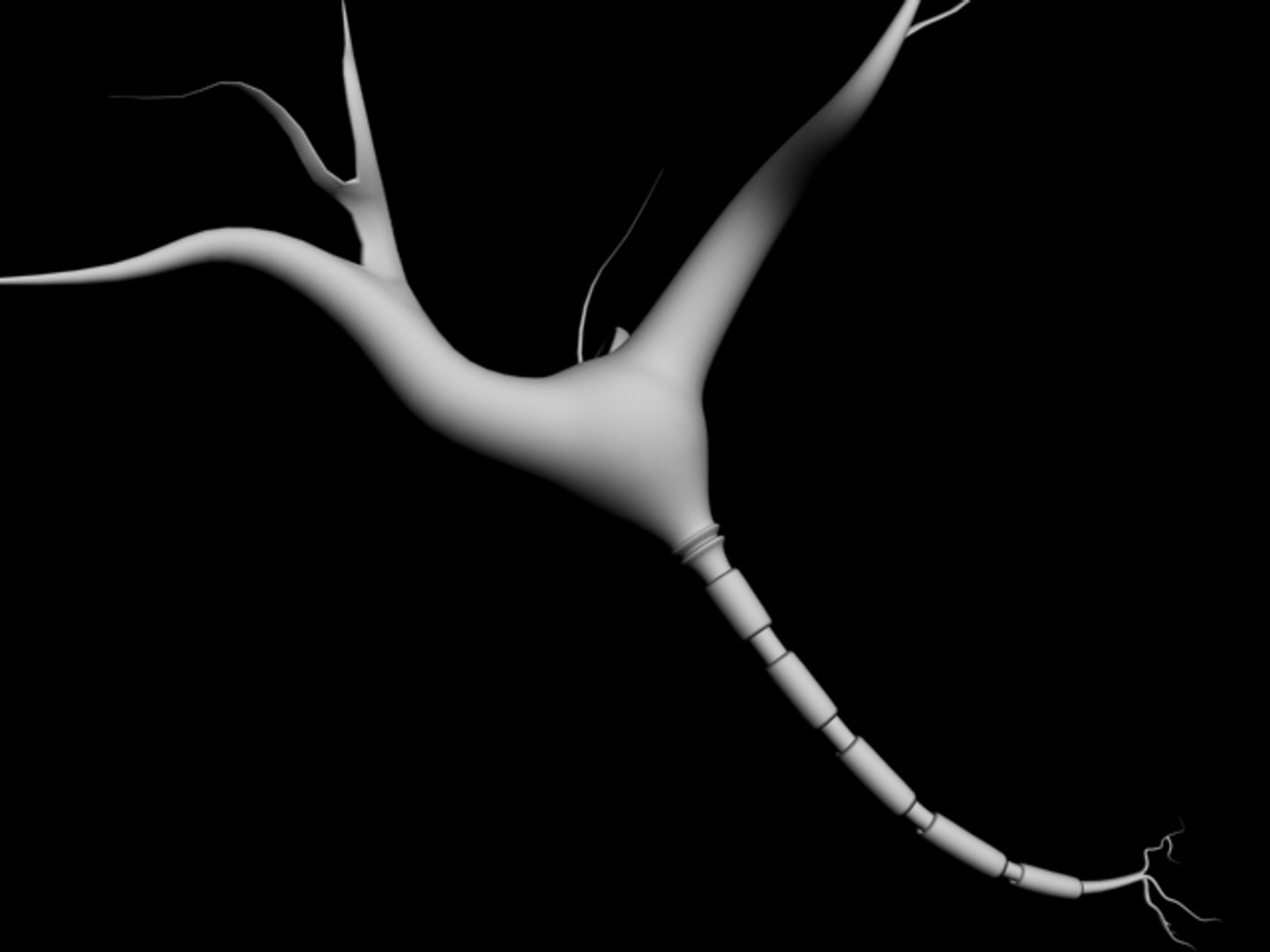 brain cell 3d obj https://p.turbosquid.com/ts-thumb/yP/WNssgD/mgxNrw0b/4/jpg/1185215990/1920x1080/fit_q87/4348a5e06ca51ef9fdc45438d1eb40833df1a870/4.jpg