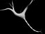 brain cell