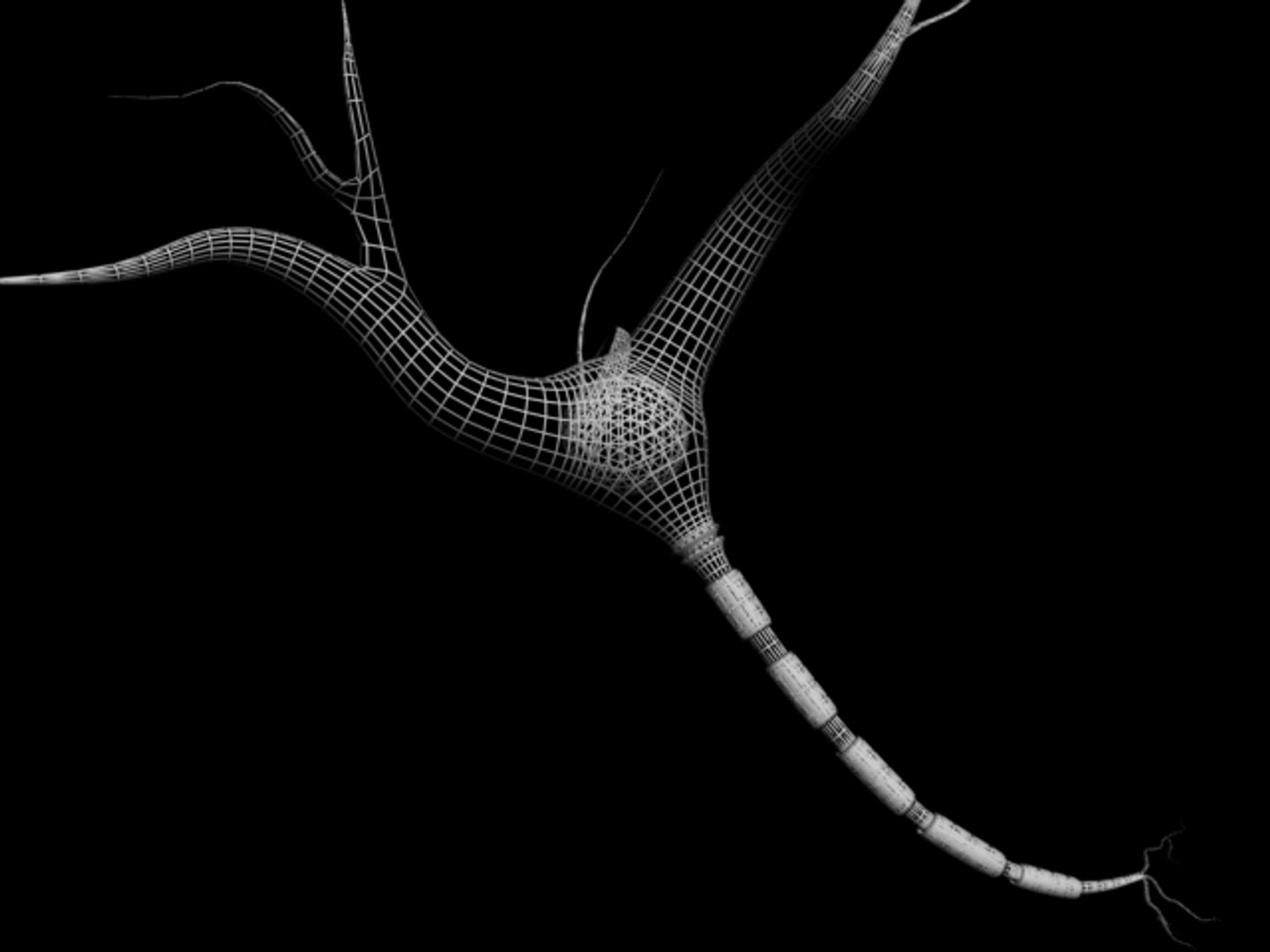 brain cell 3d obj https://p.turbosquid.com/ts-thumb/yP/WNssgD/slWUB3RV/6/jpg/1185216001/1920x1080/fit_q87/72eba90daac05b4dc8fd5847b7f32071c2cc07fa/6.jpg