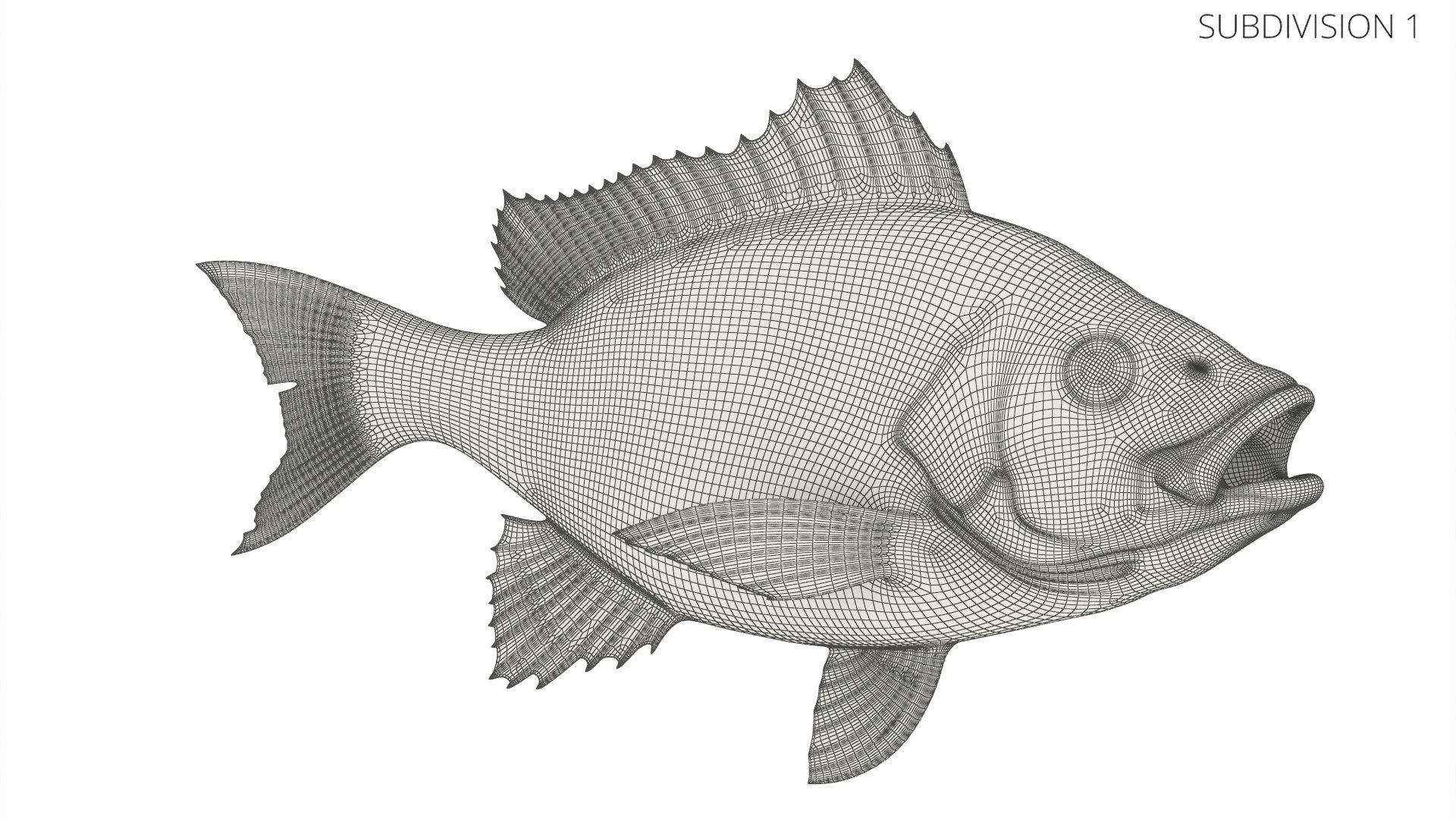 Campeche Red Snapper 3D model https://p.turbosquid.com/ts-thumb/yP/Yr942t/EW/campeche_red_snapper_012/jpg/1763446467/1920x1080/fit_q87/fb10c71bb9e4d500ff4585c5ed56ef4d2fb2d9df/campeche_red_snapper_012.jpg