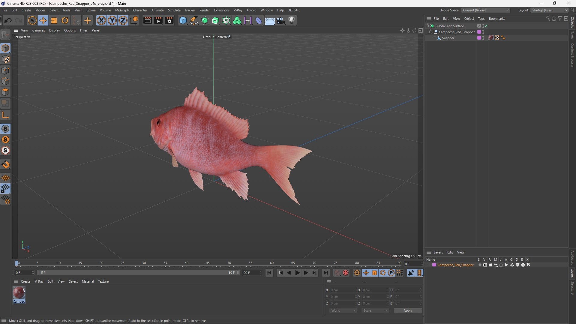 Campeche Red Snapper 3D model https://p.turbosquid.com/ts-thumb/yP/Yr942t/Qo/campeche_red_snapper_1003/jpg/1763446487/1920x1080/fit_q87/4fbbafd92f360fe89ef52ae1e62675035221458e/campeche_red_snapper_1003.jpg