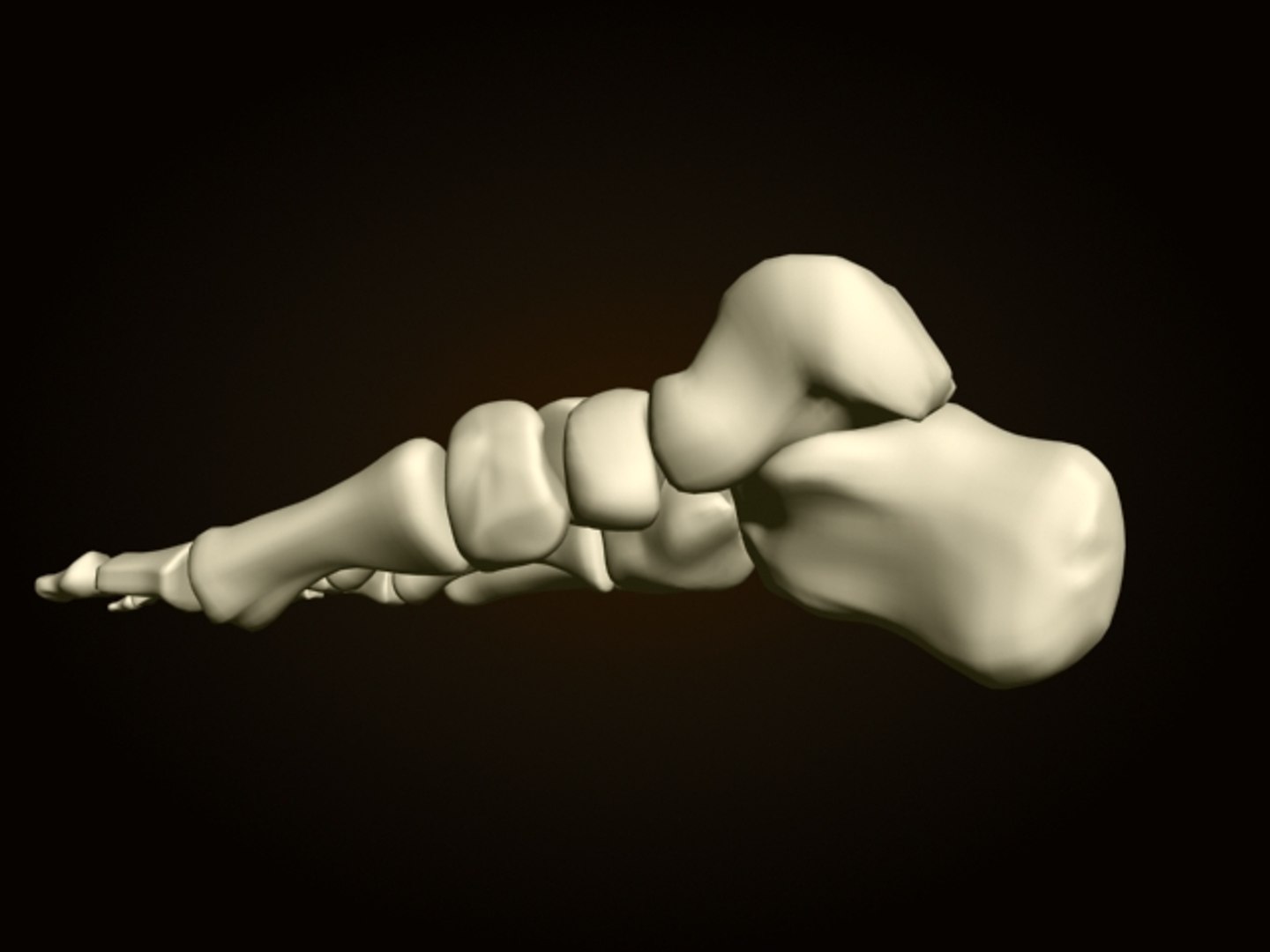 3ds foot bones https://p.turbosquid.com/ts-thumb/yP/dCAiX8/b17dlPBt/foot_2/jpg/1261038124/1920x1080/fit_q87/17c9c7f0904d76642ec141b7579243361c8c04a2/foot_2.jpg
