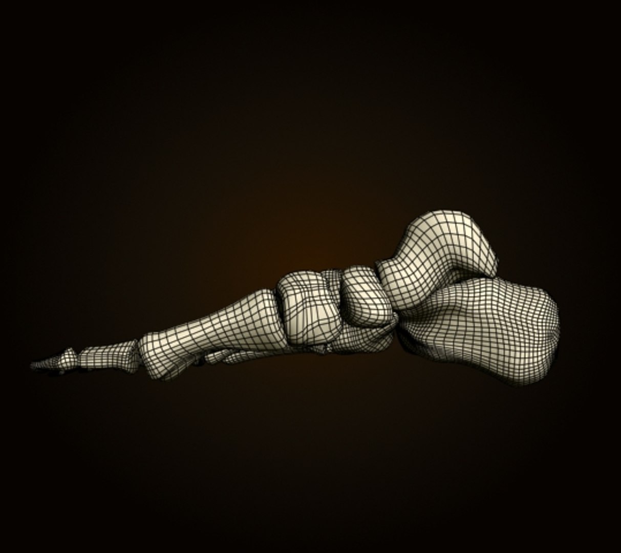 3ds foot bones https://p.turbosquid.com/ts-thumb/yP/dCAiX8/n5BFUbTL/foot_6/jpg/1261038265/1920x1080/fit_q87/ffb1ebf642fb4d7a239f42acc39df12a74b684e0/foot_6.jpg