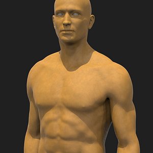 human male basemesh 3D model