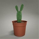 cactus 02