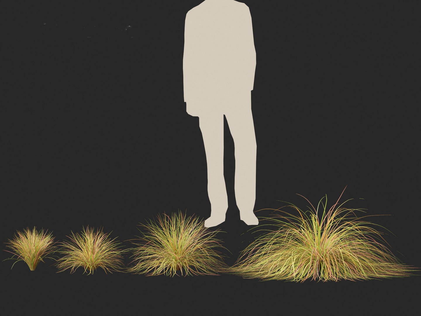 Anemanthele Lessoniana - New Zealand Wind Grass 01 3D - TurboSquid 2148850