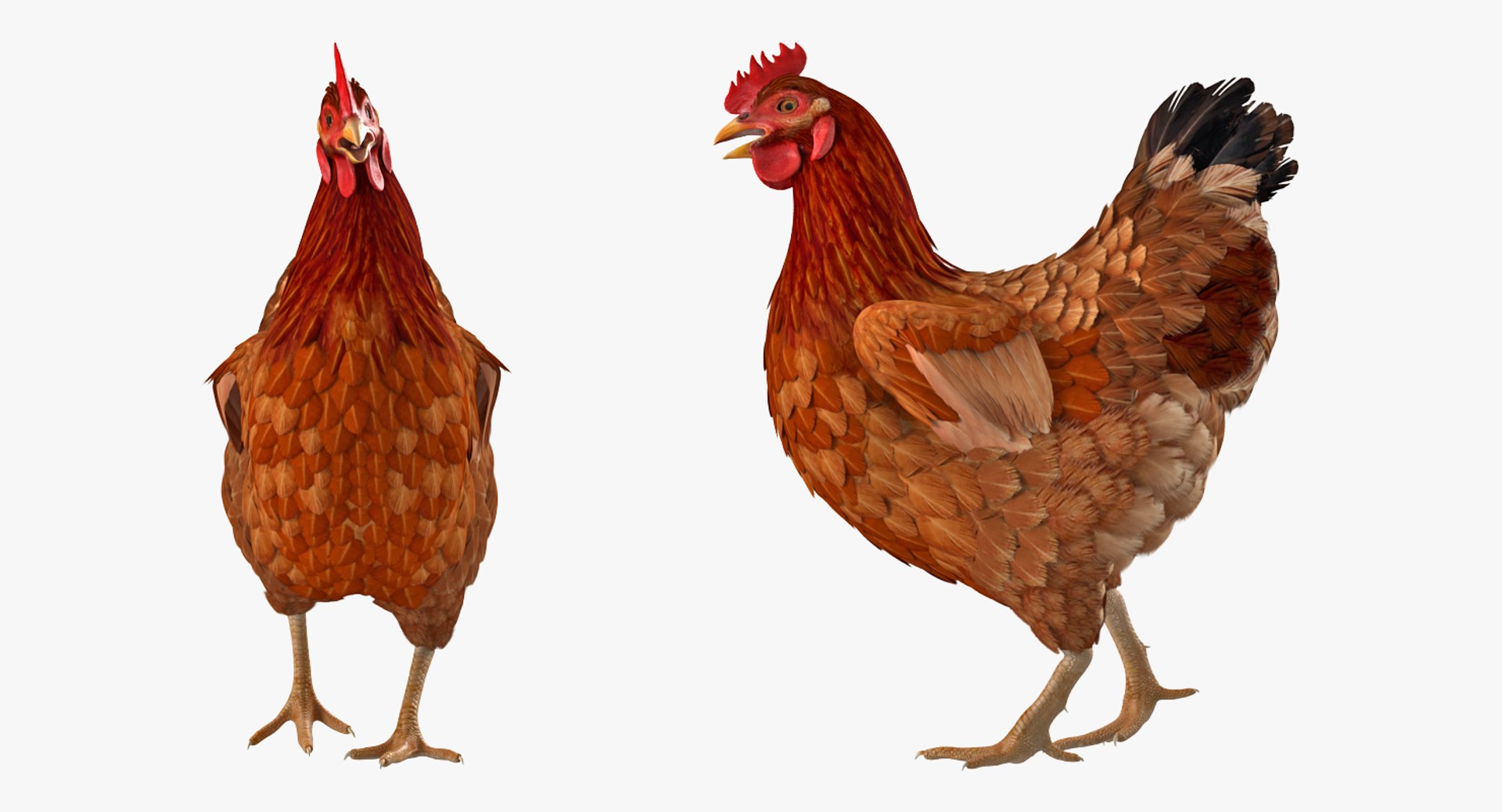 farm animals big model https://p.turbosquid.com/ts-thumb/yP/tiKYWL/1BguOoOw/farmanimalsbigcollection3dmodel053/jpg/1549704042/1920x1080/fit_q87/d152fcbc95d7be44d9cdbd325aac1b12e3ab1aee/farmanimalsbigcollection3dmodel053.jpg