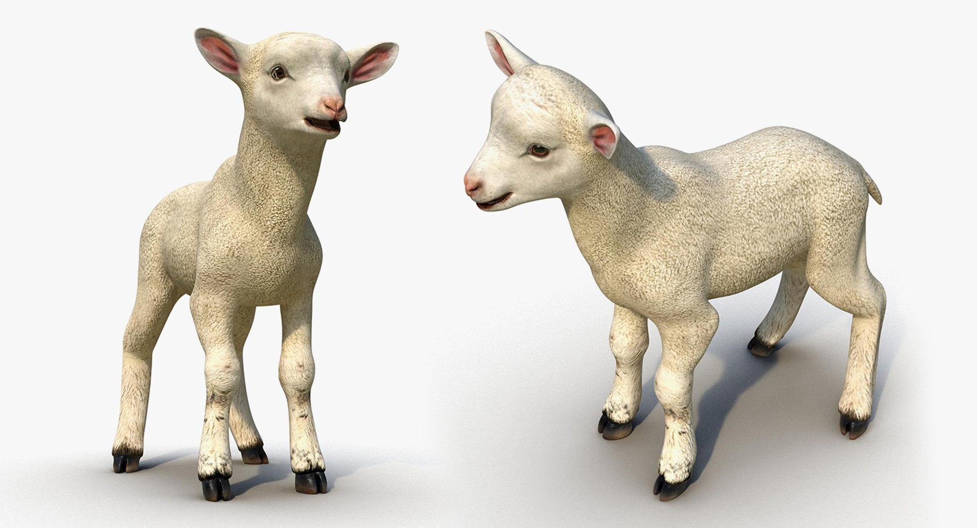 farm animals big model https://p.turbosquid.com/ts-thumb/yP/tiKYWL/6zAomtFH/farmanimalsbigcollection3dmodel076/jpg/1549704130/1920x1080/fit_q87/d32a0a8e3069c7c0bccdb8998e82dcf87806e519/farmanimalsbigcollection3dmodel076.jpg