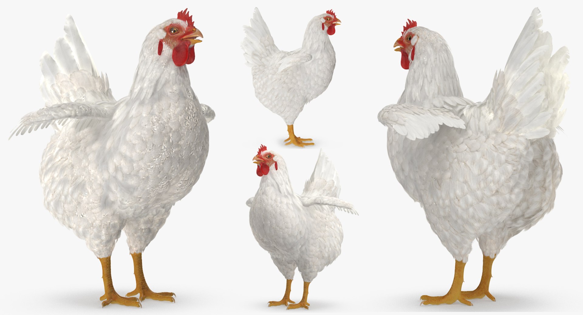 farm animals big model https://p.turbosquid.com/ts-thumb/yP/tiKYWL/7ocvlzFA/farmanimalsbigcollection3dmodel057/jpg/1549704056/1920x1080/fit_q87/7b79e4a2bea0339765dbf722160501684172a093/farmanimalsbigcollection3dmodel057.jpg