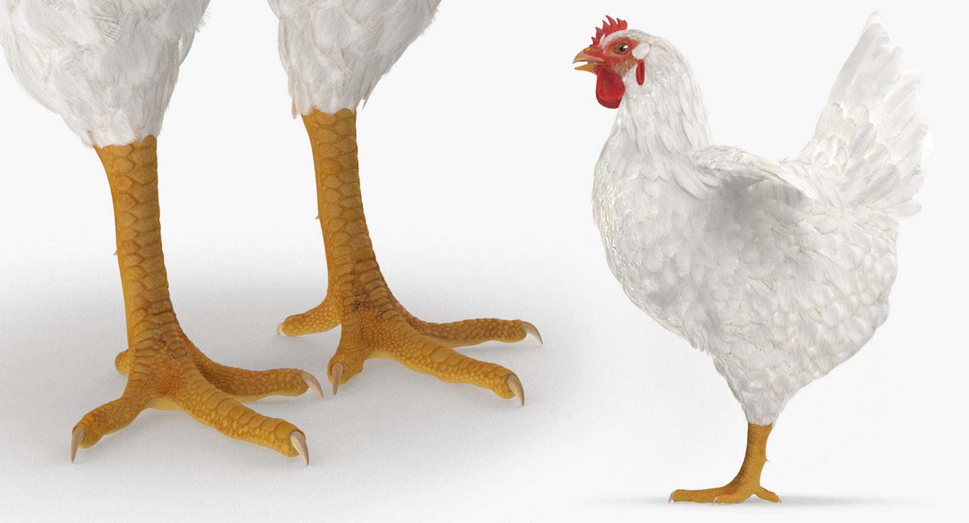 farm animals big model https://p.turbosquid.com/ts-thumb/yP/tiKYWL/9nxGbQ26/farmanimalsbigcollection3dmodel059/jpg/1549704064/1920x1080/fit_q87/42d4d8e273778135d4282b4bb63de8a8da6e2ab6/farmanimalsbigcollection3dmodel059.jpg