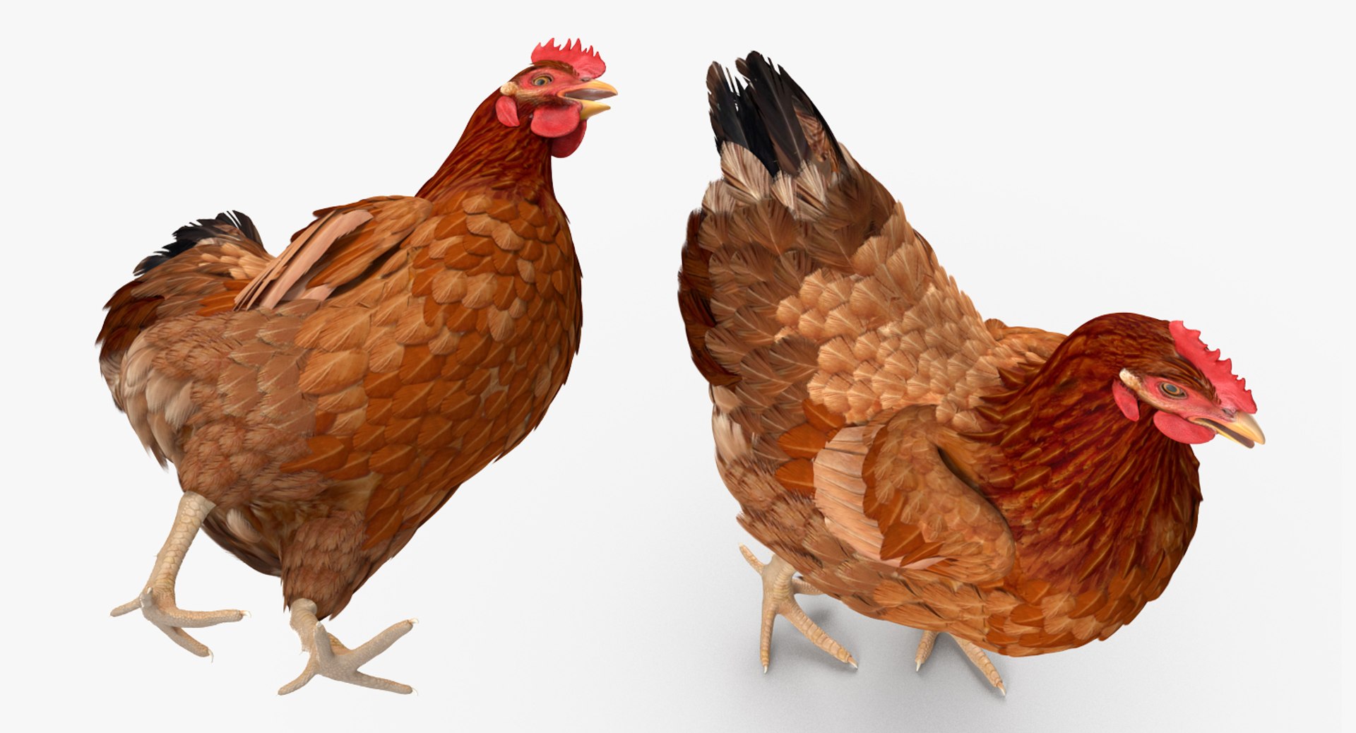 farm animals big model https://p.turbosquid.com/ts-thumb/yP/tiKYWL/EXVHlBgx/farmanimalsbigcollection3dmodel054/jpg/1549704046/1920x1080/fit_q87/7fc5eded2e4c40c1a3611f3c5ba3f837b6ea6844/farmanimalsbigcollection3dmodel054.jpg