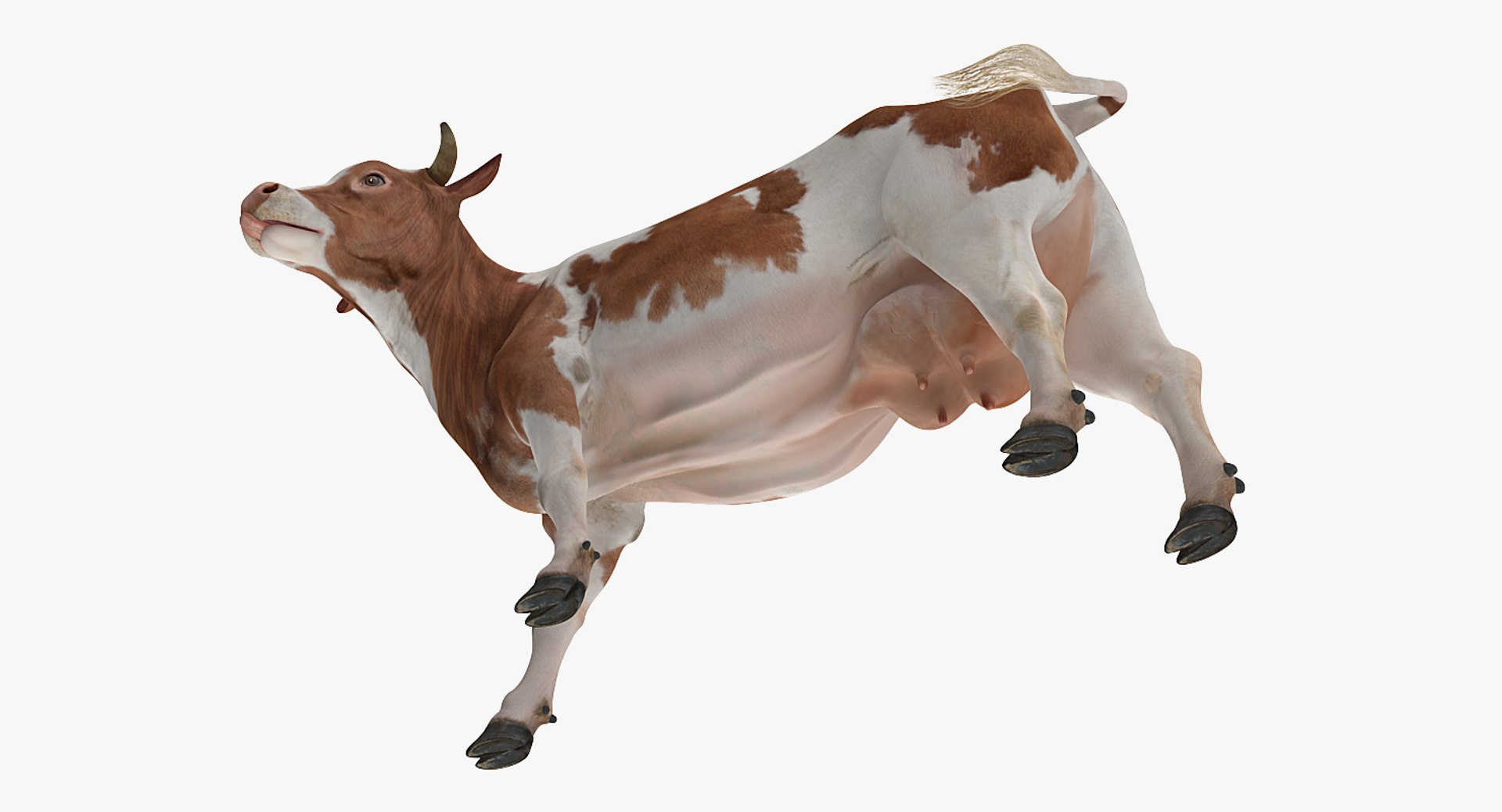 farm animals big model https://p.turbosquid.com/ts-thumb/yP/tiKYWL/H902BDY2/farmanimalsbigcollection3dmodel035/jpg/1549703974/1920x1080/fit_q87/7b772365917df3e8421b9f57d794815b7e0ba6b3/farmanimalsbigcollection3dmodel035.jpg