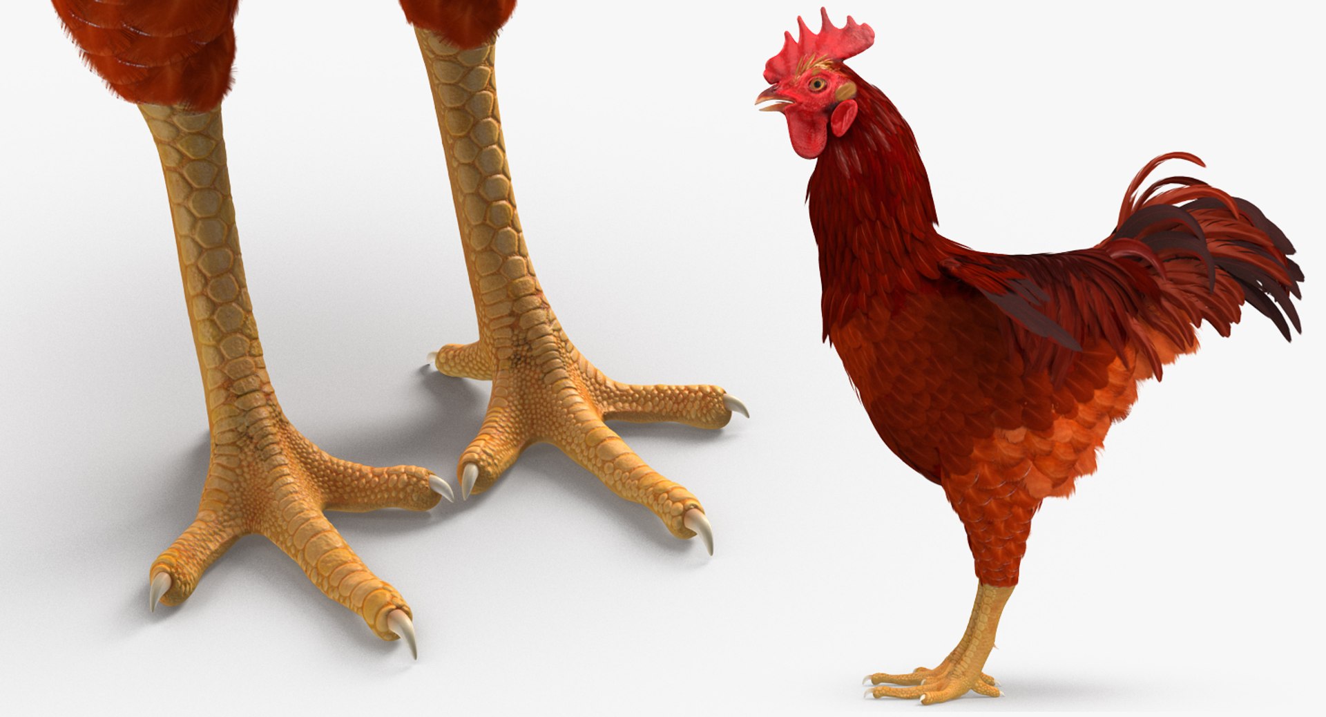 farm animals big model https://p.turbosquid.com/ts-thumb/yP/tiKYWL/Ob9285bb/farmanimalsbigcollection3dmodel065/jpg/1549704088/1920x1080/fit_q87/6a000ba6afe023124e194d7e7880c9ecb2bc6eb6/farmanimalsbigcollection3dmodel065.jpg