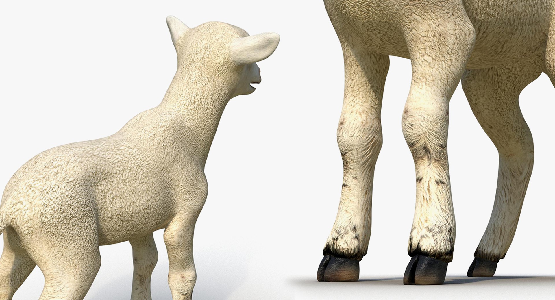 farm animals big model https://p.turbosquid.com/ts-thumb/yP/tiKYWL/ShMVnSgS/farmanimalsbigcollection3dmodel077/jpg/1549704133/1920x1080/fit_q87/b09bf80fed81fa7ac6d9f602cc497432718ee951/farmanimalsbigcollection3dmodel077.jpg