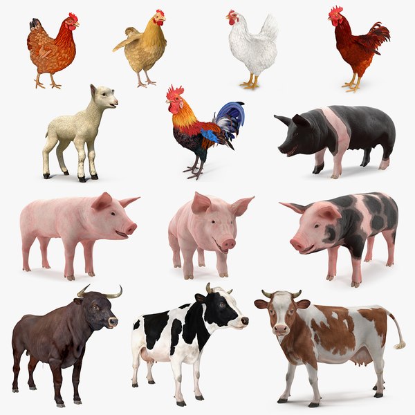 3d farm animals model