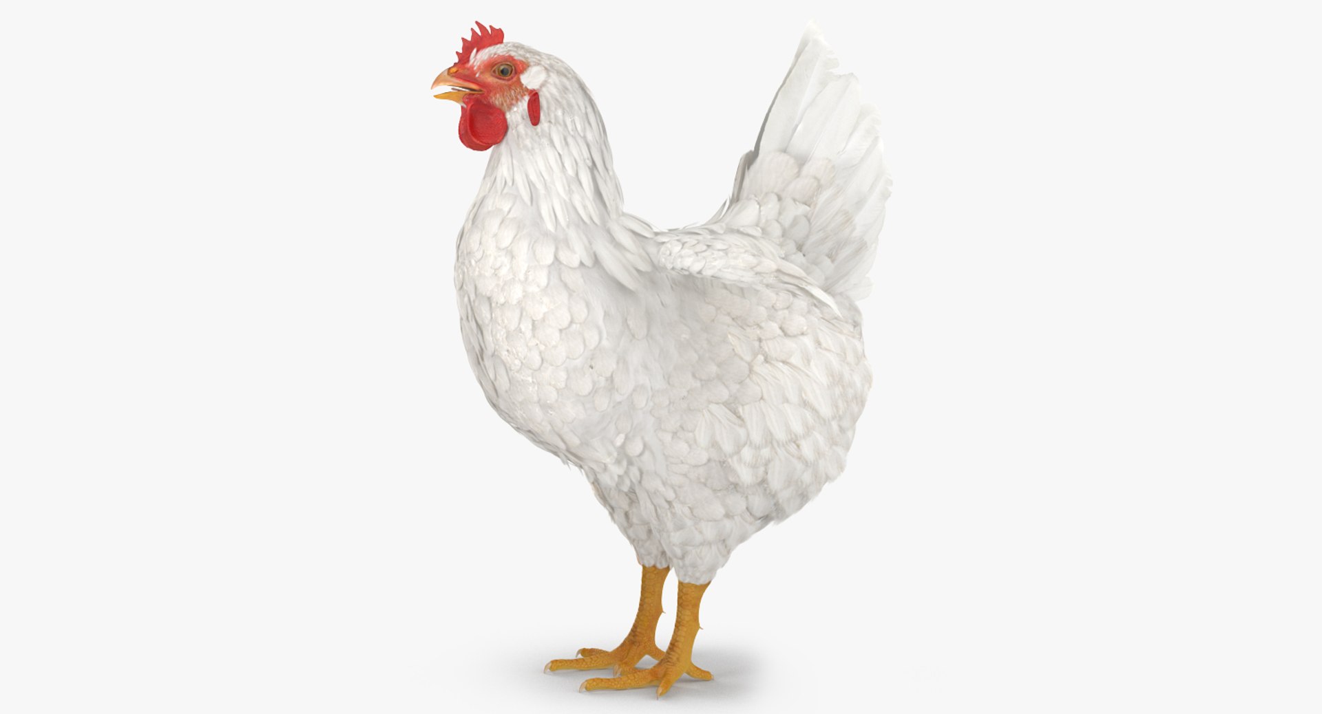 farm animals big model https://p.turbosquid.com/ts-thumb/yP/tiKYWL/Xi611tui/farmanimalsbigcollection3dmodel056/jpg/1549704053/1920x1080/fit_q87/19708980919d8d30fb1904c52e3c42cee5f735c6/farmanimalsbigcollection3dmodel056.jpg