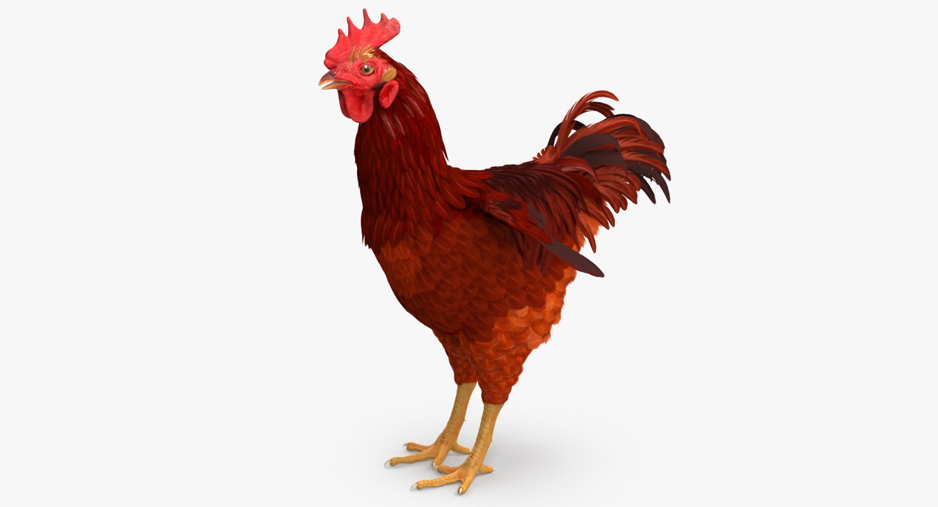 farm animals big model https://p.turbosquid.com/ts-thumb/yP/tiKYWL/ajnkONWX/farmanimalsbigcollection3dmodel061/jpg/1549704073/1920x1080/fit_q87/3a785881aba76a1ffbfe1a290a50b2209a4b7a37/farmanimalsbigcollection3dmodel061.jpg