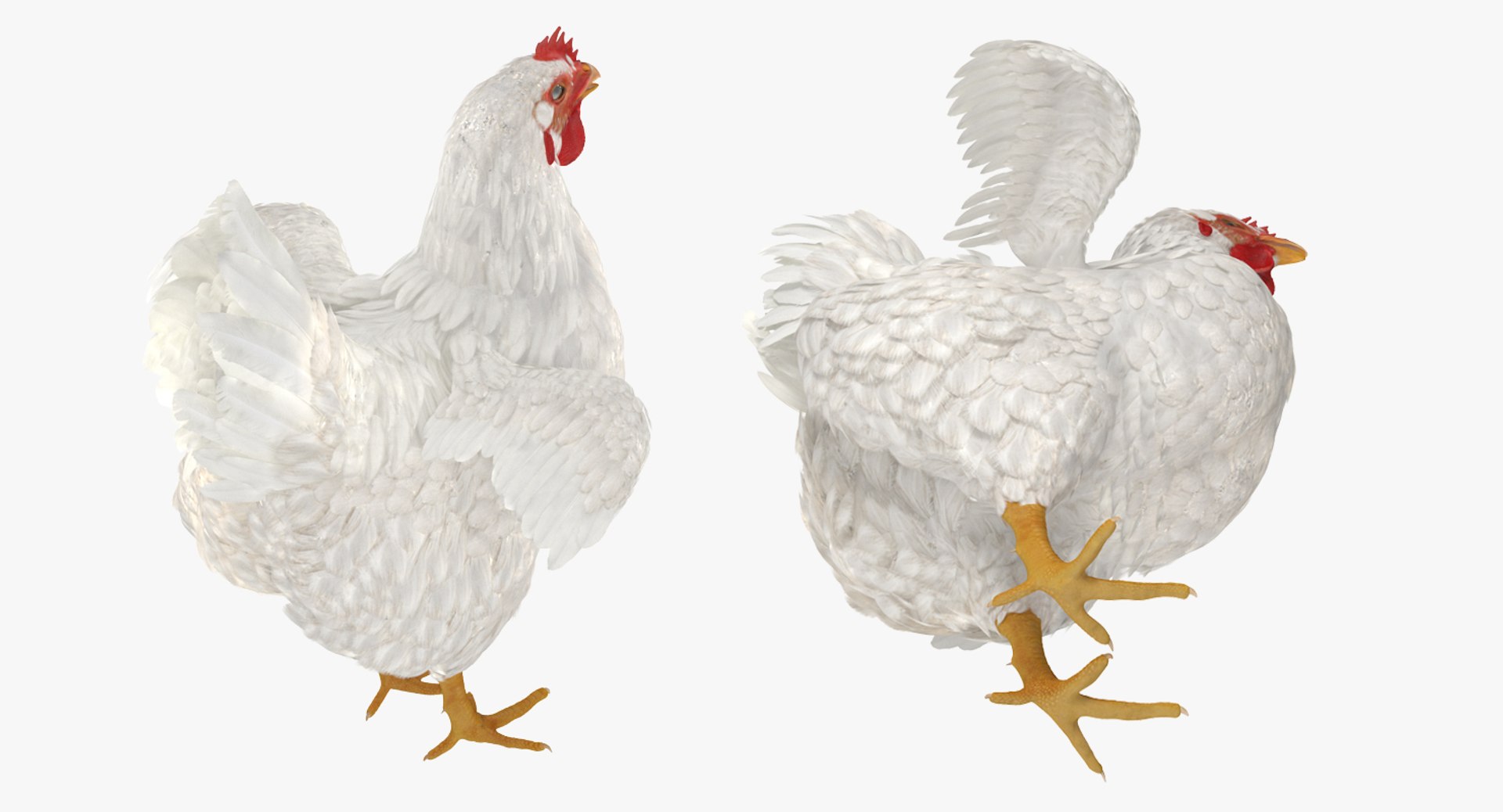 farm animals big model https://p.turbosquid.com/ts-thumb/yP/tiKYWL/ePAgNi2D/farmanimalsbigcollection3dmodel060/jpg/1549704068/1920x1080/fit_q87/1ae03bb36afb2efd6d32650b56d0e84bac74e467/farmanimalsbigcollection3dmodel060.jpg