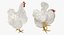 Farm Animals Big Collection