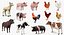 Farm Animals Big Collection