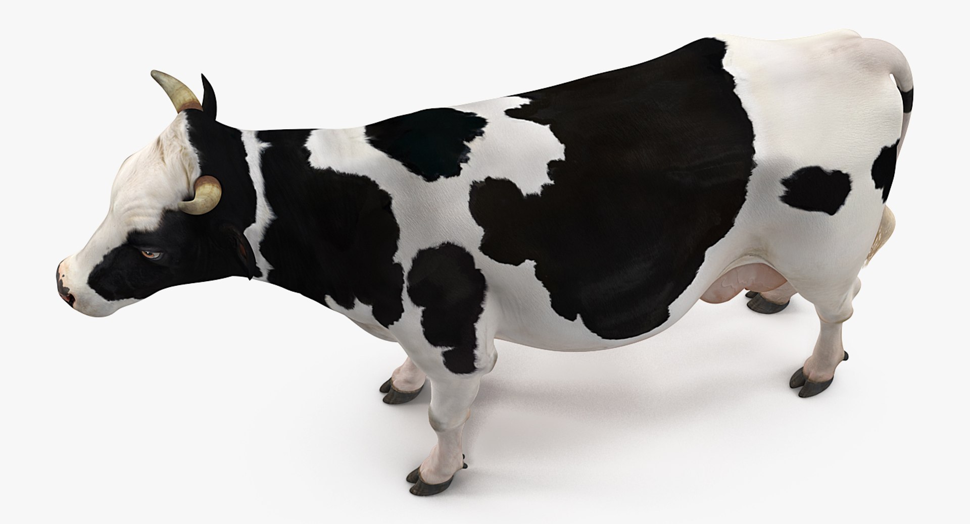 farm animals big model https://p.turbosquid.com/ts-thumb/yP/tiKYWL/kQ4PX4cv/farmanimalsbigcollection3dmodel038/jpg/1549703985/1920x1080/fit_q87/d877e913d39f9a9f8a96e5d6fc137108e831cbb4/farmanimalsbigcollection3dmodel038.jpg