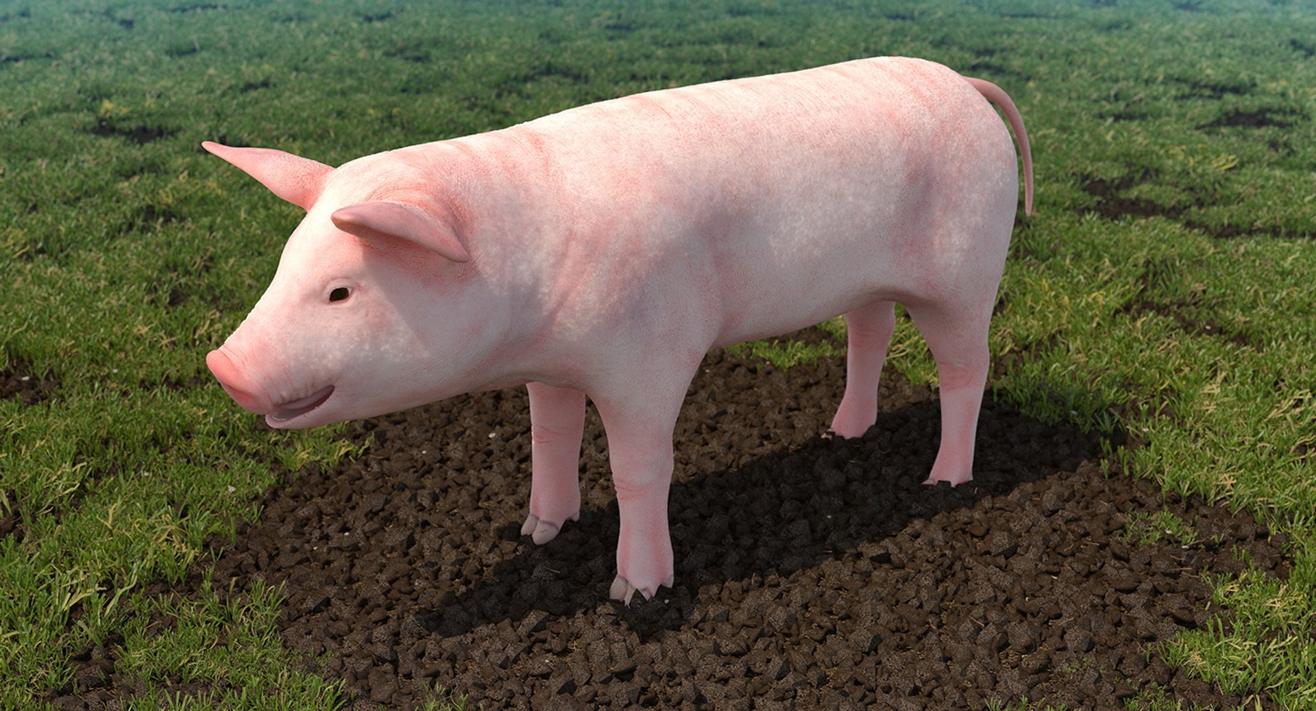 farm animals big model https://p.turbosquid.com/ts-thumb/yP/tiKYWL/nIqTg9Sv/farmanimalsbigcollection3dmodel011/jpg/1549703858/1920x1080/fit_q87/3857d468f1dfcd4fcb17f3bbe28142cb5968216e/farmanimalsbigcollection3dmodel011.jpg