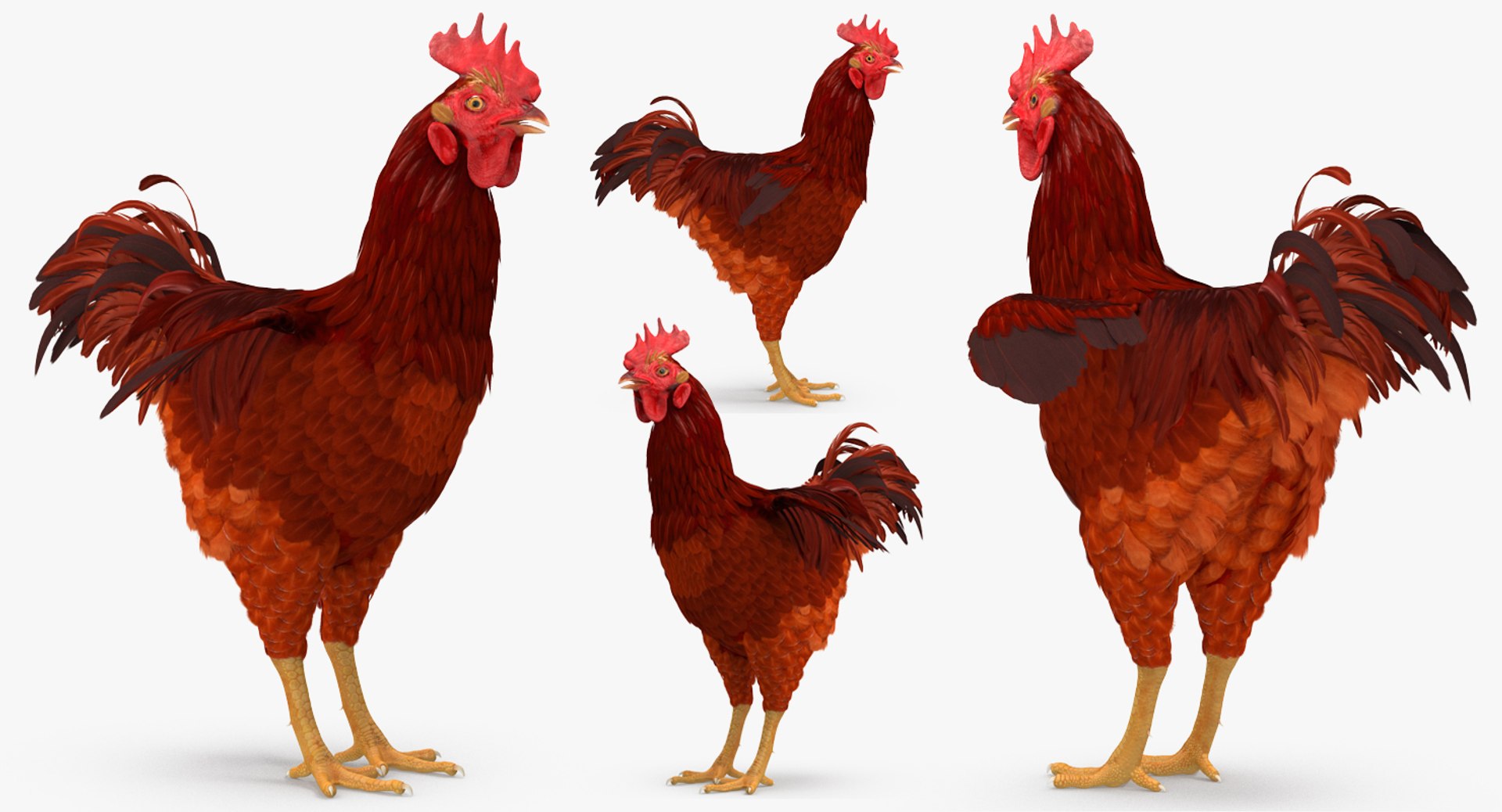 farm animals big model https://p.turbosquid.com/ts-thumb/yP/tiKYWL/oKEDVA9b/farmanimalsbigcollection3dmodel062/jpg/1549704076/1920x1080/fit_q87/eb89e4b122d15939c1d16ba53a4f3d2814034593/farmanimalsbigcollection3dmodel062.jpg